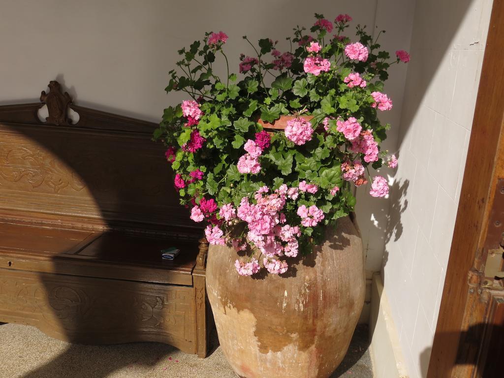 B&B Casa Cavalli Lucera Eksteriør bilde